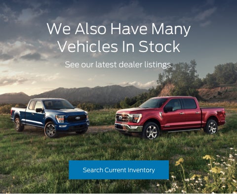 Ford vehicles in stock | Friendship Ford Of Bristol in Bristol TN
